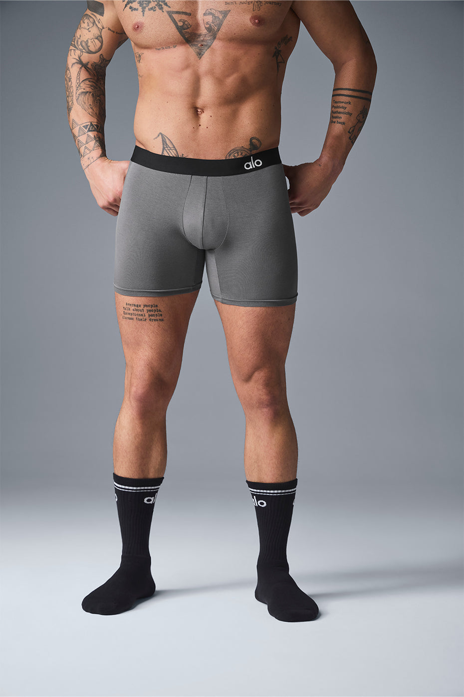 Boxer Day and Night - Gris