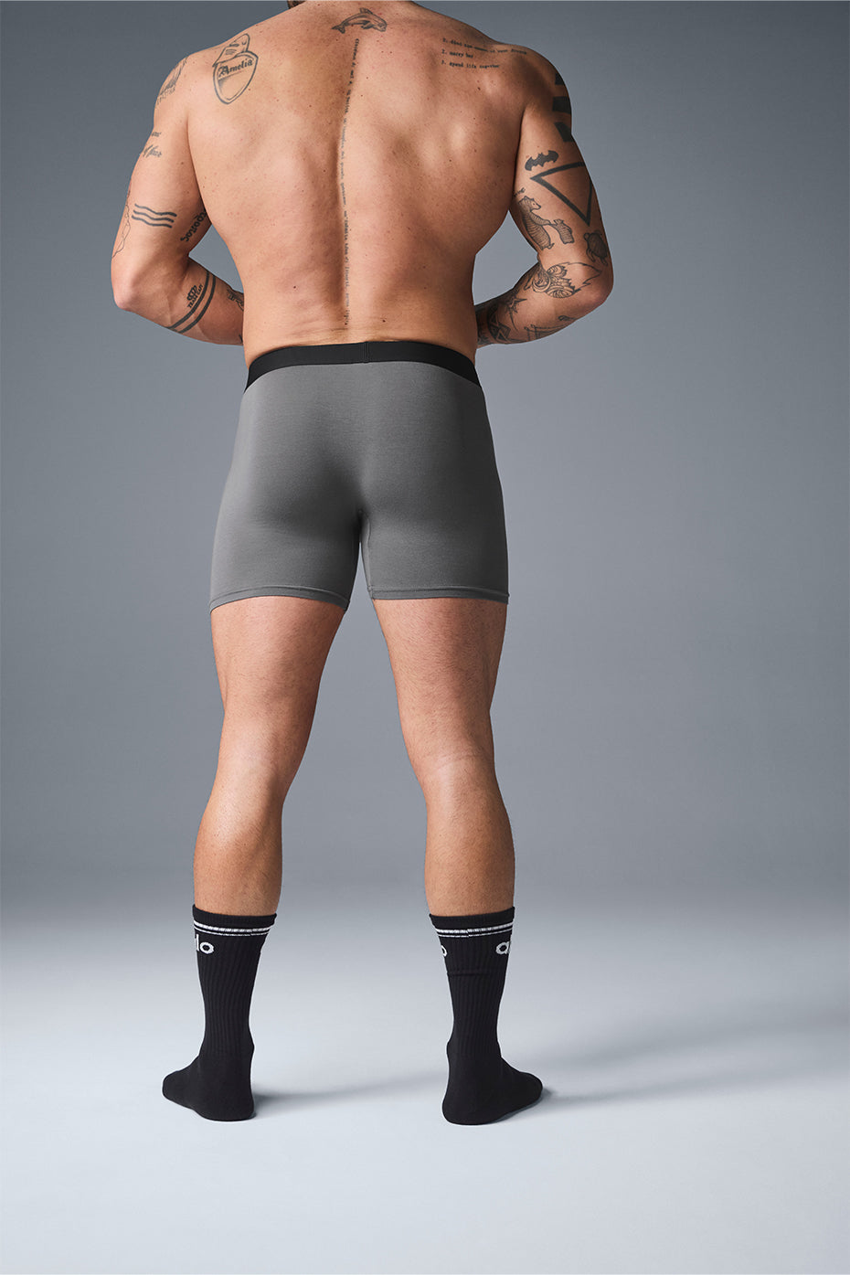 Boxer Day and Night - Gris